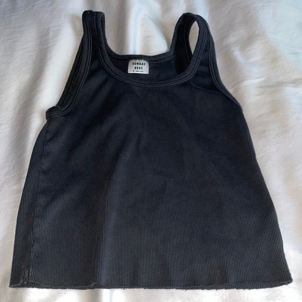 Aritzia crop top from sundays best